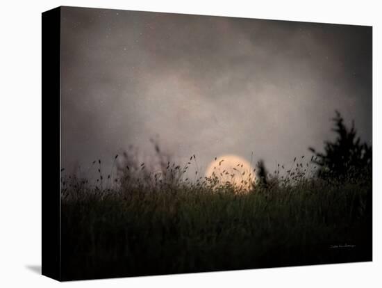 The Prairie Moon-Debra Van Swearingen-Premier Image Canvas