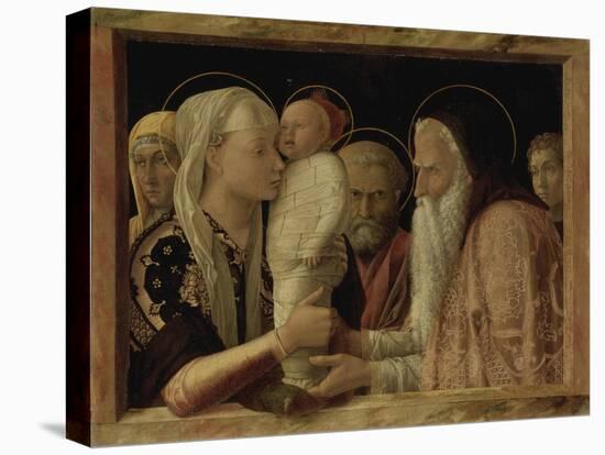 The Presentation in the Temple, about 1465/66-Andrea Mantegna-Premier Image Canvas