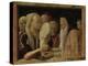 The Presentation in the Temple, about 1465/66-Andrea Mantegna-Premier Image Canvas