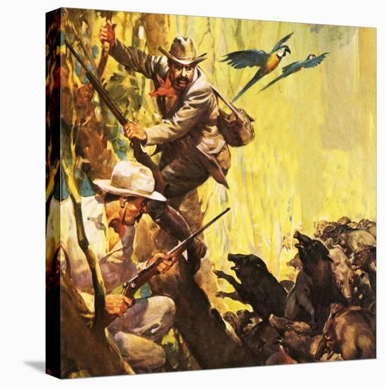 The President Who Loved Adventure: Theodore Roosevelt-McConnell-Premier Image Canvas