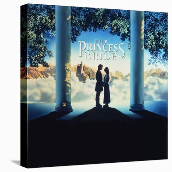 The Princess Bride Video Cover-null-Stretched Canvas