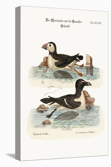 The Puffin, and the Razor-Bill, 1749-73-George Edwards-Premier Image Canvas