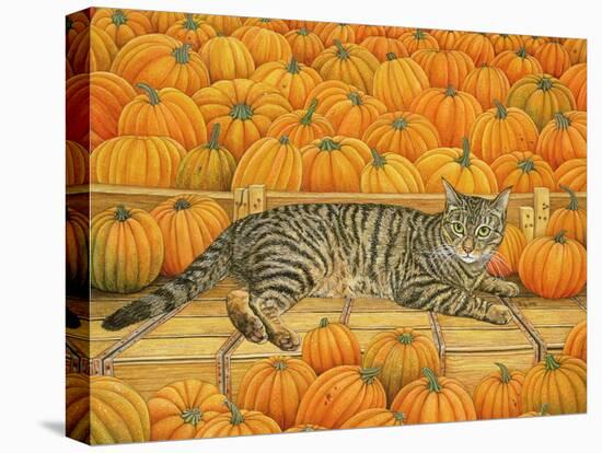 The Pumpkin-Cat, 1995-Ditz-Premier Image Canvas