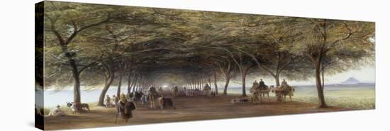 The Pyramids Road, Gizeh, 1873-Edward Lear-Premier Image Canvas