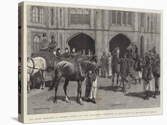 The Queen Receiving at Windsor Castle the Five Arab Horses Presented to Her Majesty by the Sultan o-John Charlton-Premier Image Canvas