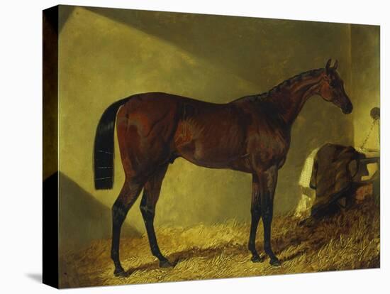 The Race Horse 'Merry Monarch' in a Stall-John Frederick Herring I-Premier Image Canvas