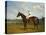 The Racehorse, 'Northeast' with Jockey Up-Emil Adam-Premier Image Canvas