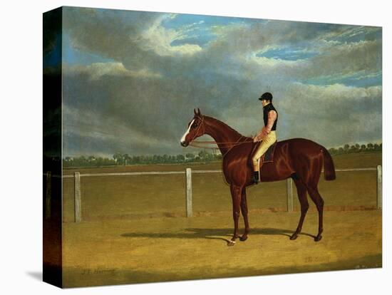 The Racehorse 'The Colonel' with William Scott Up-Federico Ballesio-Premier Image Canvas