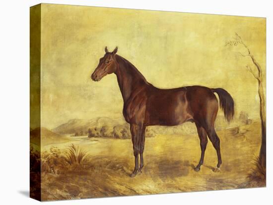 The Racehorse 'Tranby' in a River Landscape-Edward Troye-Premier Image Canvas