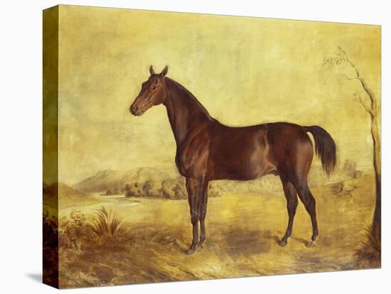 The Racehorse 'Tranby' in a River Landscape-Edward Troye-Premier Image Canvas