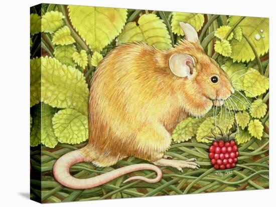 The Raspberry-Mouse-Ditz-Premier Image Canvas