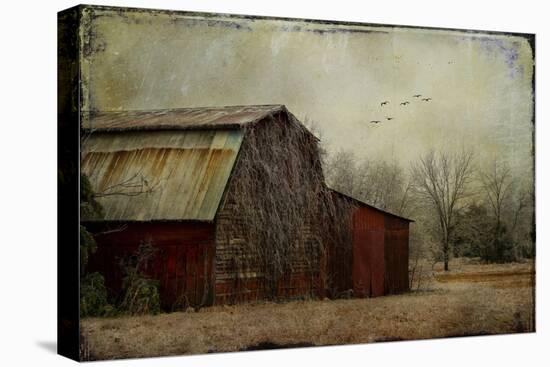 the Red Barn-Barbara Simmons-Premier Image Canvas