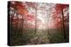 The Red Forest-Philippe Manguin-Premier Image Canvas