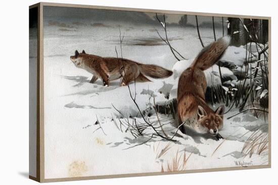 The Red Fox by Alfred Edmund Brehm-Stefano Bianchetti-Premier Image Canvas