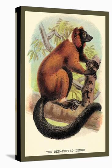 The Red-Ruffed Lemur-Sir William Jardine-Stretched Canvas