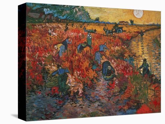 The red Vineyard at Arles,1888. Canvas,73 x 91 cm.-Vincent van Gogh-Premier Image Canvas