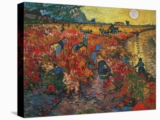 The Red Vineyard at Arles, c.1888-Vincent van Gogh-Premier Image Canvas