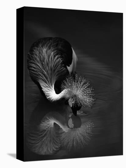 The Reflection-C.S.Tjandra-Premier Image Canvas