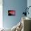 The Remains of a Supernova Give Birth to New Stars-Stocktrek Images-Premier Image Canvas displayed on a wall
