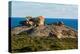 The Remarkables, Cape du Couedic, Flinders Chase National Park, Kangaroo Island, South Australia-Mark A Johnson-Premier Image Canvas