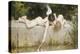 The Rescue, 1894-Emile Munier-Premier Image Canvas