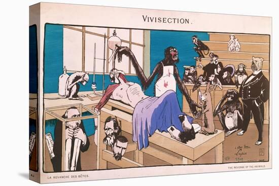 The Revenge of the Animals, Caricature of Vivisection, 1909-null-Premier Image Canvas