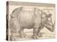 The Rhinoceros, 1515 (Woodcut on Laid Paper)-Albrecht Dürer or Duerer-Premier Image Canvas