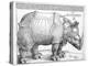 The Rhinoceros, 1515-Albrecht Dürer-Premier Image Canvas