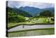 The Rice Terraces of Banaue, Northern Luzon, Philippines, Southeast Asia, Asia-Michael Runkel-Premier Image Canvas