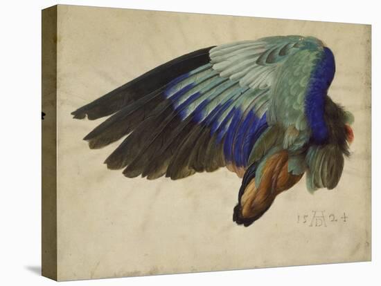 The Right Wing of a Blue Roller, 1524-Albrecht Dürer-Premier Image Canvas