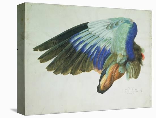 The Right Wing of a Blue Roller-Hans Hoffmann-Premier Image Canvas