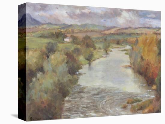 The River Tweed, Roxburghshire, 1995-Karen Armitage-Premier Image Canvas