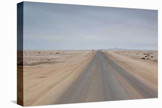 The Road to Cape Cross, Namibia-Alex Saberi-Premier Image Canvas