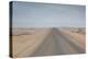 The Road to Cape Cross, Namibia-Alex Saberi-Premier Image Canvas