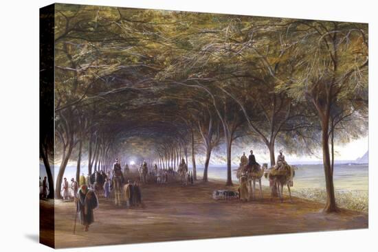 The Road to the Pyramids at Giza, C1873-Edward Lear-Premier Image Canvas