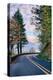 The Road to Vista House, Columbia River Gorge, Oregon-Vincent James-Premier Image Canvas