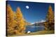 The Rock And The Moon-Philippe Sainte-Laudy-Premier Image Canvas