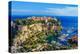 The Rock The City Of Principaute Of Monaco And Monte Carlo In The South Of France-OSTILL-Premier Image Canvas