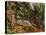 The Rocks in the Park of the Chateau Noir, 1898-1899-Paul Cézanne-Premier Image Canvas