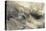 The Rocky Bank of a River - Verso: Sketch of Foliage, C.1853-John Ruskin-Premier Image Canvas