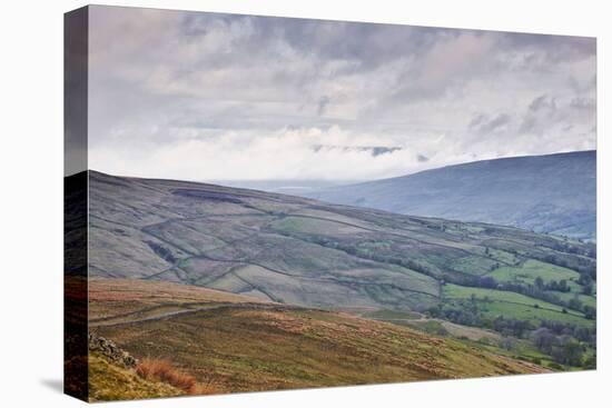 The Rolling Hills of the Yorkshire Dales National Park Near Dentdale-Julian Elliott-Premier Image Canvas