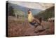 The Rooster, 1876 (W/C & Pencil on Wove Paper)-Winslow Homer-Premier Image Canvas