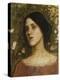 The Rose Bower-John William Waterhouse-Premier Image Canvas