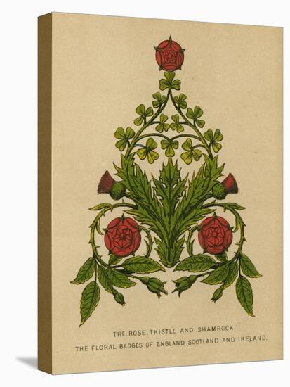 The Rose, Thistle and Shamrock. The Floral Badges of England, Scotland and Ireland-English School-Premier Image Canvas