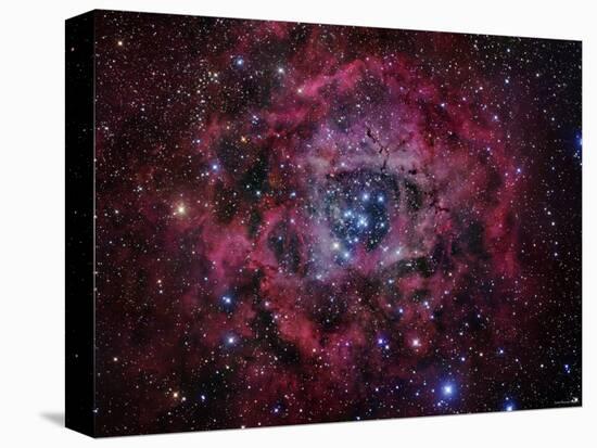 The Rosette Nebula-Stocktrek Images-Premier Image Canvas