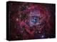 The Rosette Nebula-Stocktrek Images-Premier Image Canvas