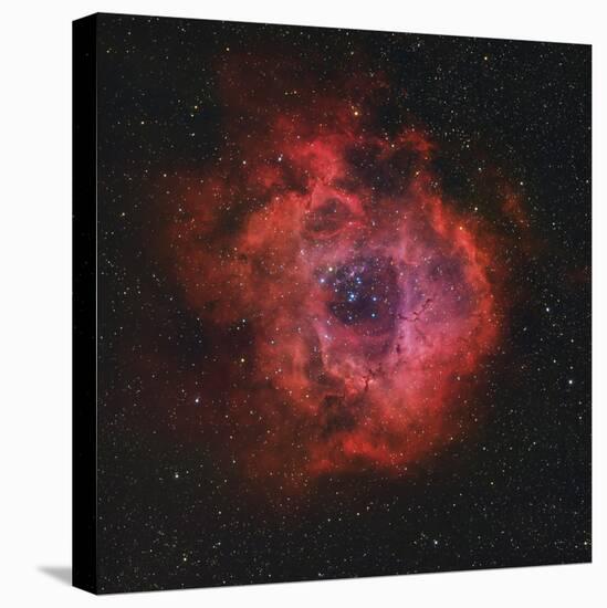 The Rosette Nebula-Stocktrek Images-Premier Image Canvas