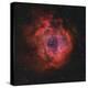 The Rosette Nebula-Stocktrek Images-Premier Image Canvas