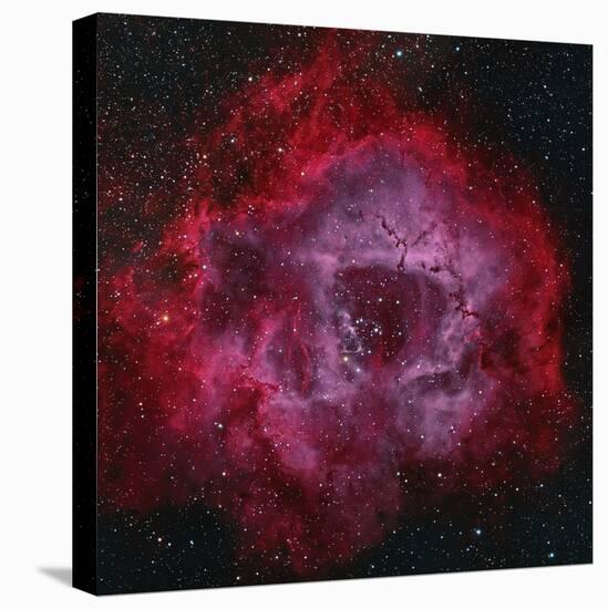 The Rosette Nebula-null-Premier Image Canvas