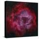 The Rosette Nebula-null-Premier Image Canvas